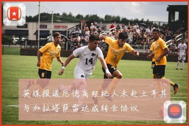 英媒报道厄德高经纪人未赴土耳其与加拉塔萨雷达成转会协议